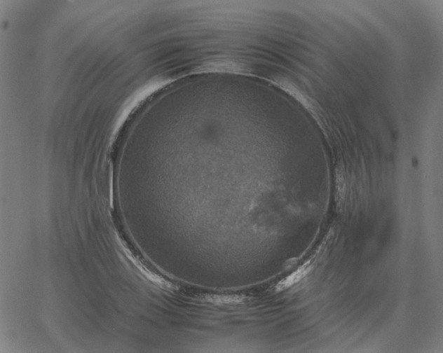 X0000067891123200604201302