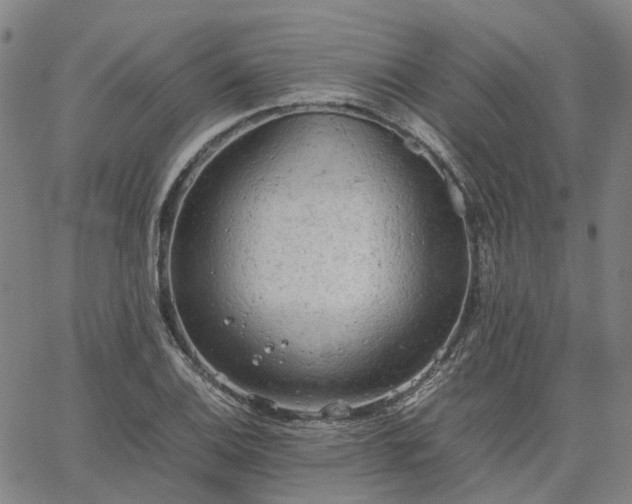 X0000067891124200604201302