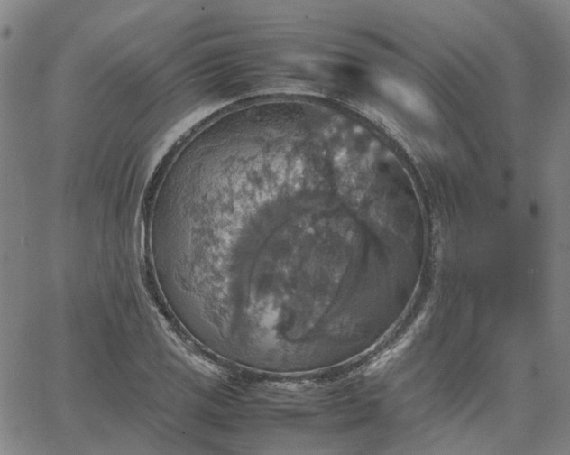 X0000067891125200604201302