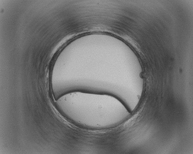 X0000067891126200604201302