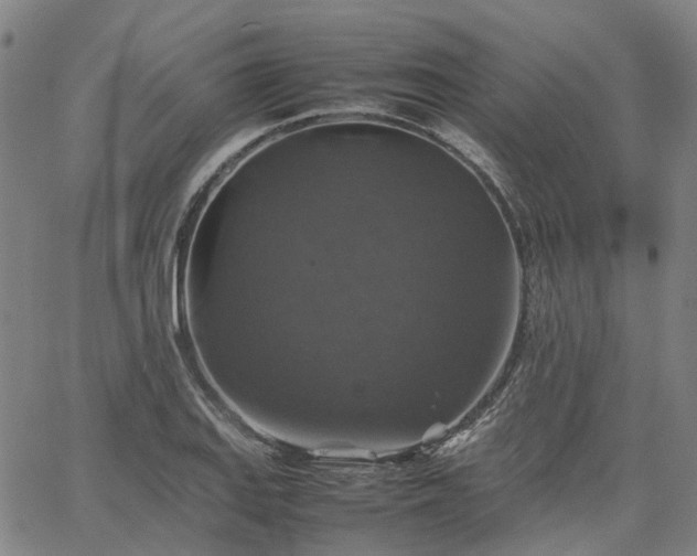 X0000067891127200604201302