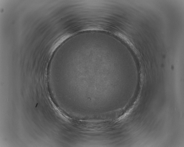 X0000067891129200604201302