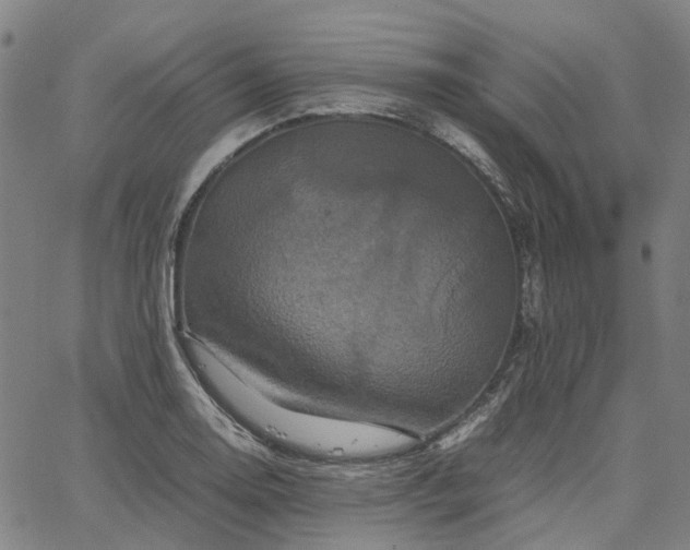 X0000067891130200604201302