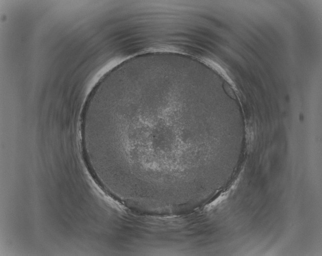 X0000067891133200604201302