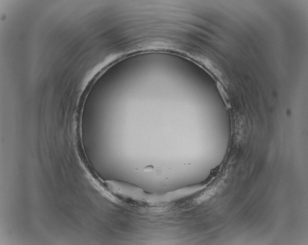 X0000067891134200604201302