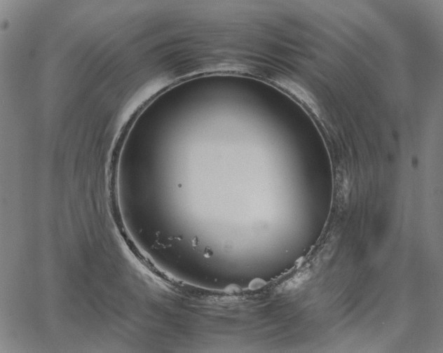 X0000067891135200604201302