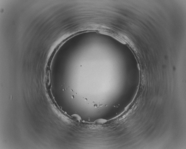 X0000067891136200604201302