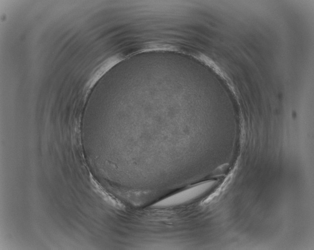 X0000067891137200604201302