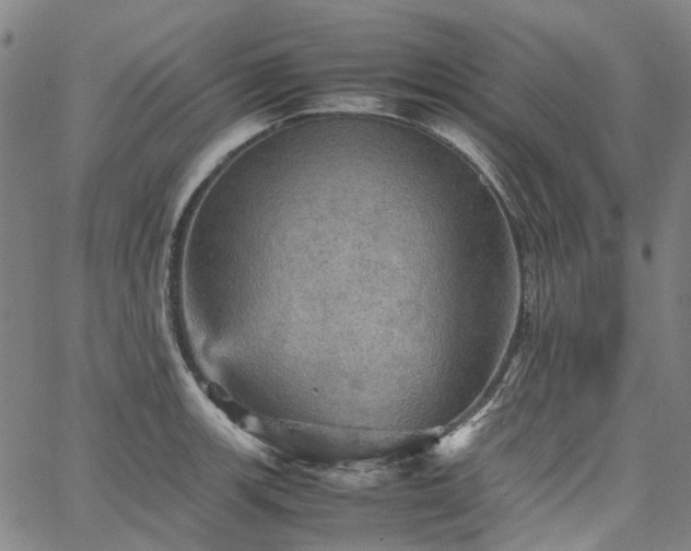 X0000067891139200604201302