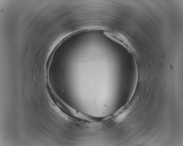 X0000067891140200604201302