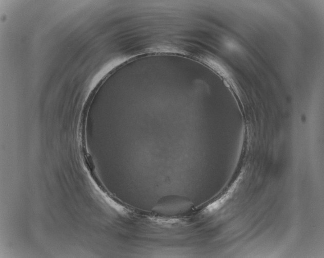 X0000067891141200604201302