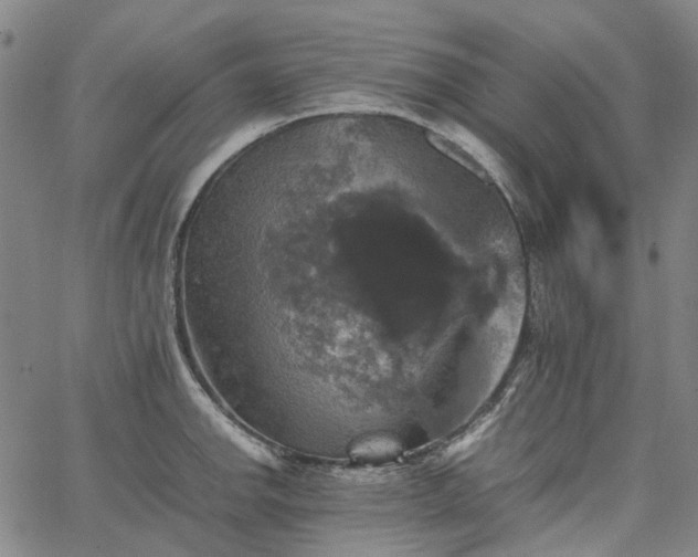 X0000067891142200604201302