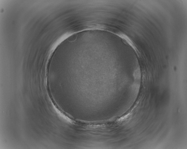 X0000067891143200604201302