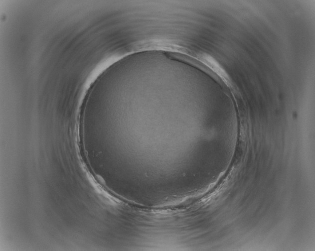 X0000067891144200604201302