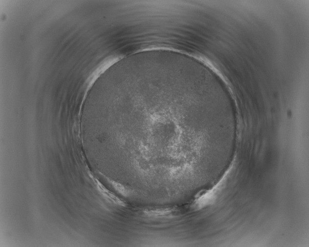 X0000067891145200604201302