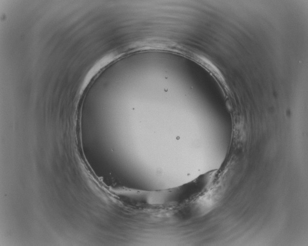 X0000067891146200604201302