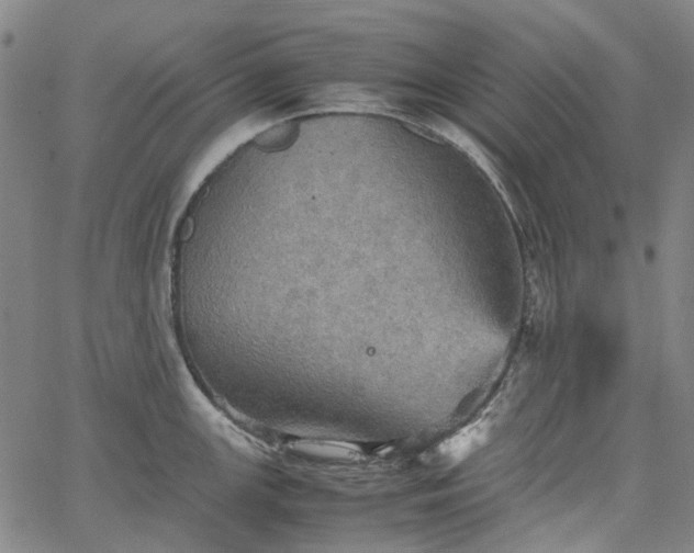 X0000067891147200604201302