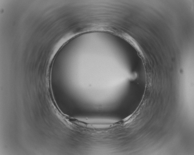 X0000067891148200604201302