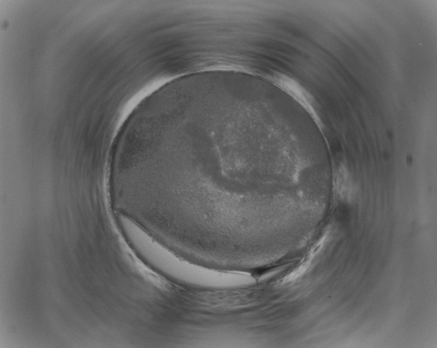 X0000067891149200604201302