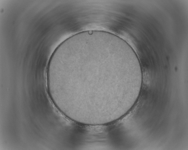 X0000067891150200604201302