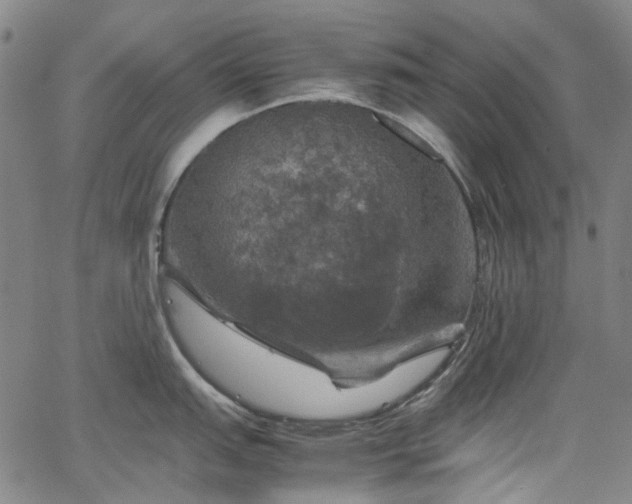 X0000067891151200604201303