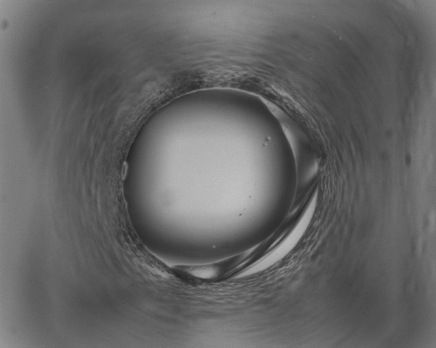 X0000067891153200604201302