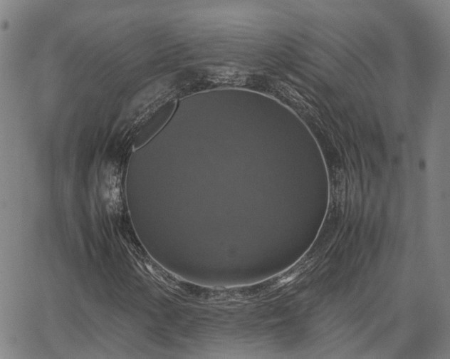 X0000067891154200604201302