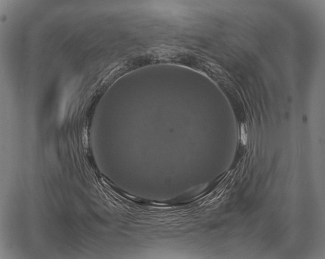 X0000067891155200604201302