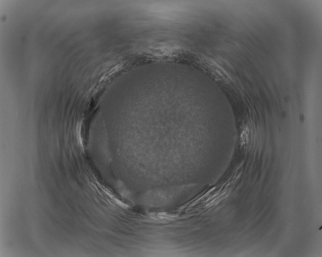 X0000067891156200604201302