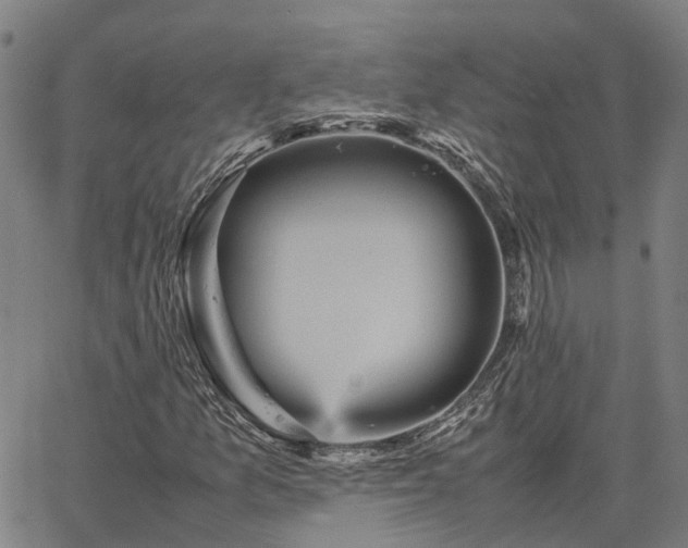 X0000067891157200604201302