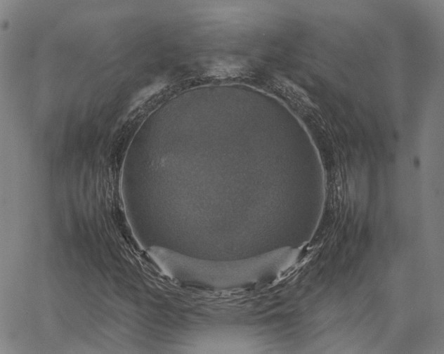 X0000067891158200604201302