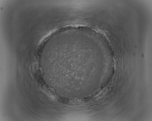 X0000067891159200604201302