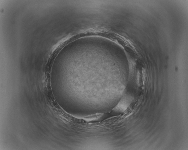 X0000067891160200604201302