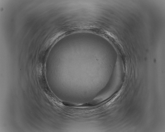 X0000067891161200604201302