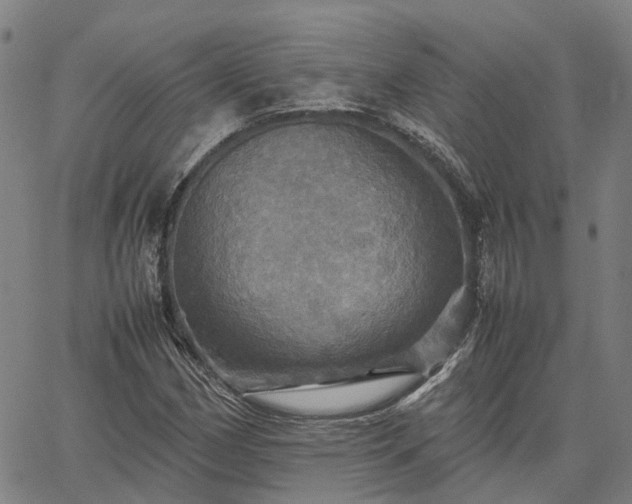 X0000067891162200604201302