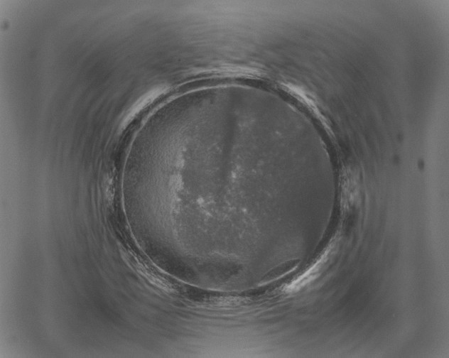 X0000067891163200604201302