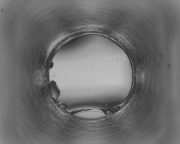 X0000067891164200604201302