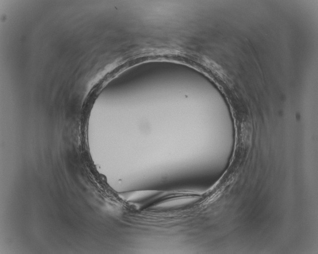 X0000067891165200604201302