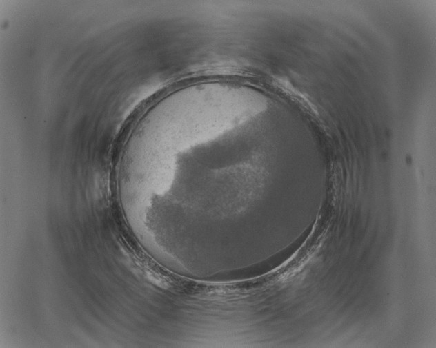 X0000067891166200604201302