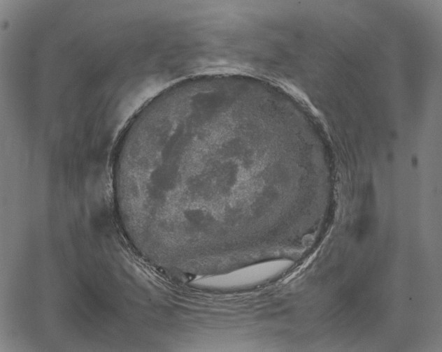 X0000067891167200604201302