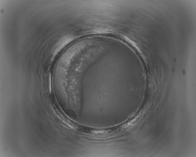 X0000067891171200604201301