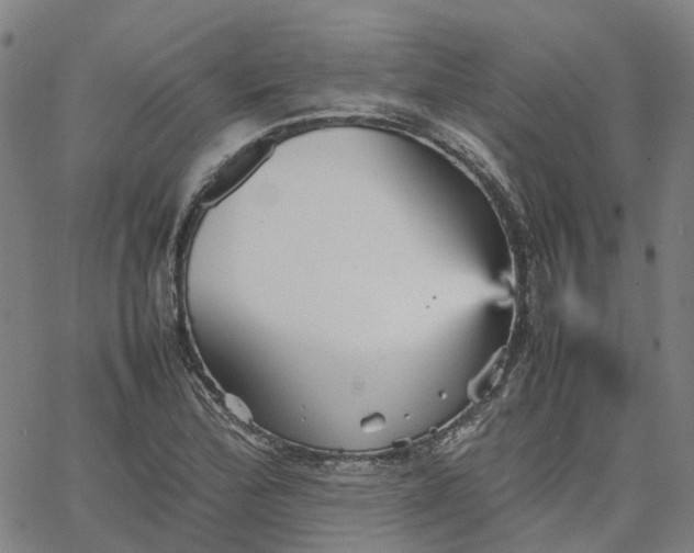 X0000067891172200604201301