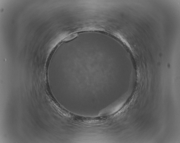 X0000067891173200604201301