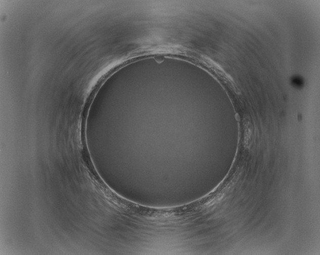 X0000067891174200604201301