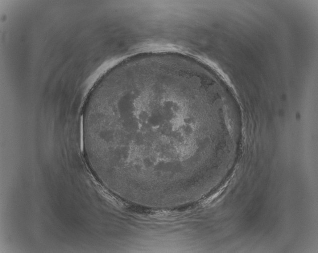 X0000067891175200604201301