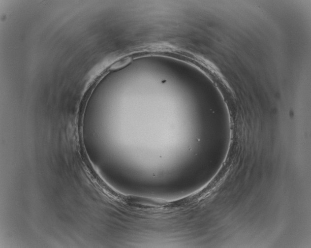 X0000067891176200604201301