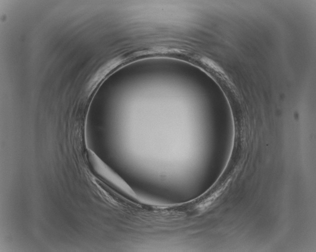 X0000067891177200604201301