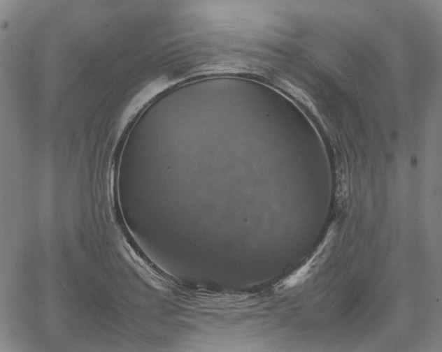 X0000067891179200604201301