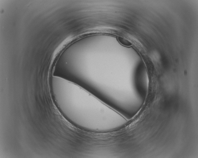 X0000067891180200604201301