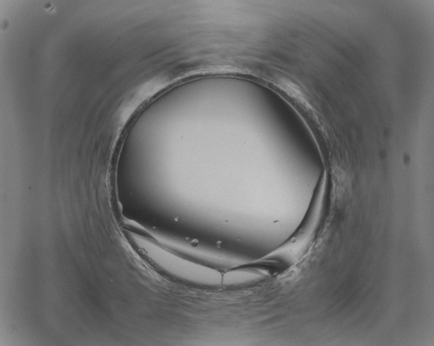 X0000067891181200604201301